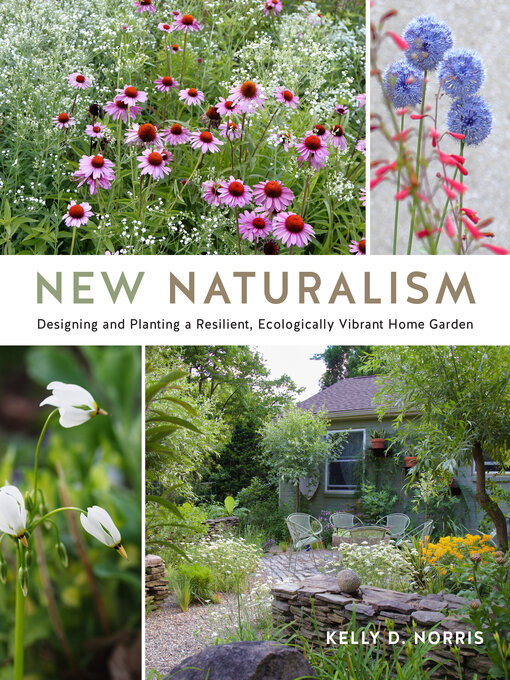 Title details for New Naturalism by Kelly D. Norris - Available